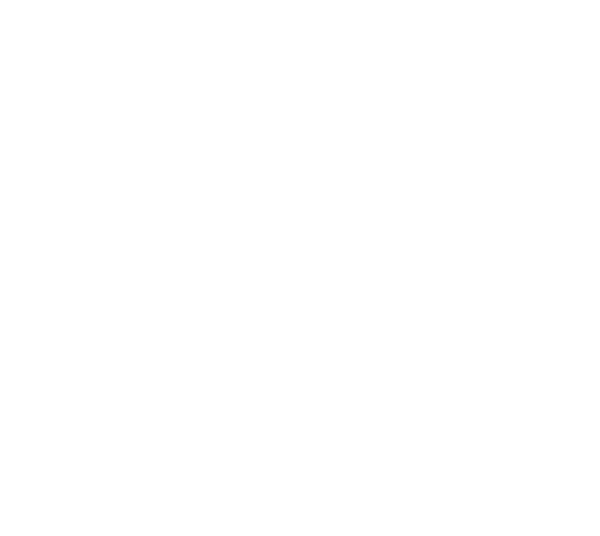 MEN 2006 til 2026